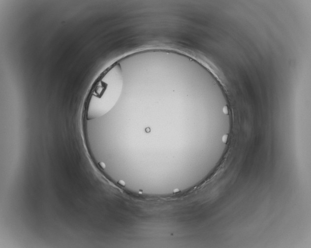 X0000111820950200908061133