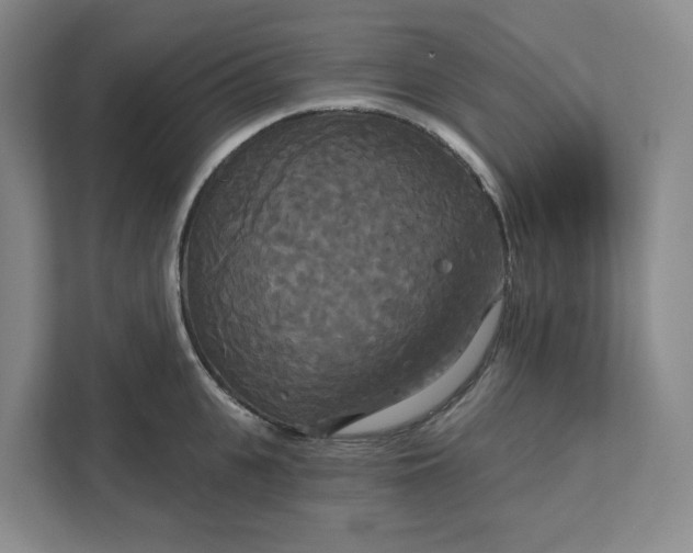 X0000111820951200908061133