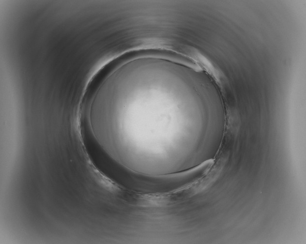 X0000111820952200908061133