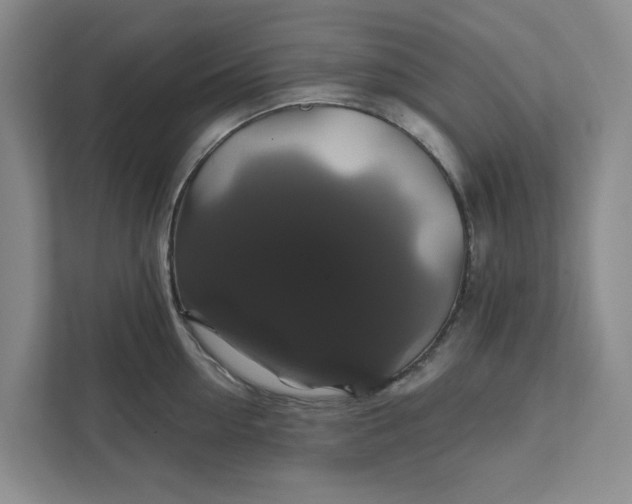 X0000111820954200908061133