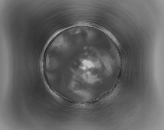 X0000111820955200908061133