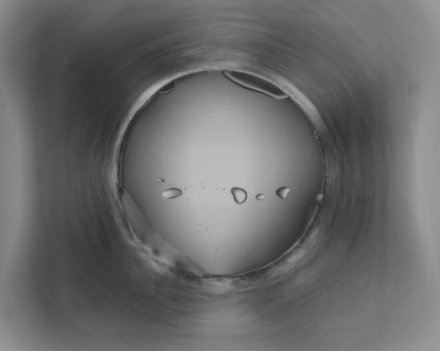 X0000111820956200908061133