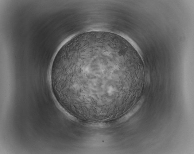 X0000111820957200908061133