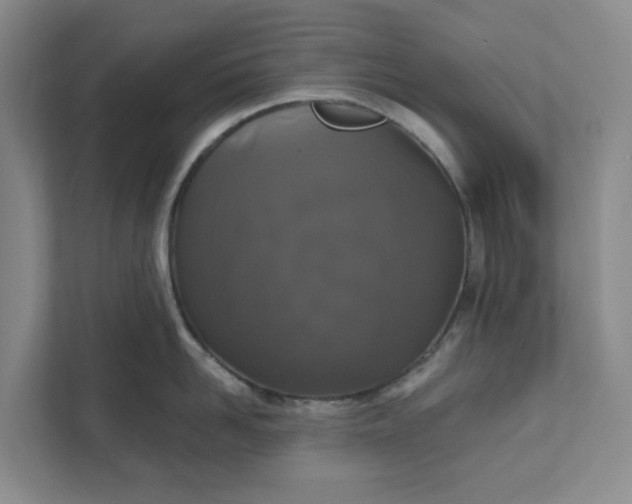 X0000111820958200908061133