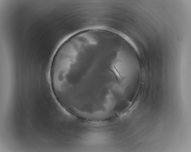 X0000111820959200908061133