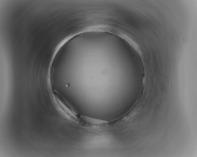 X0000111820960200908061133