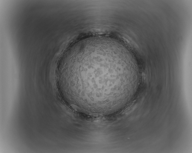 X0000111820961200908061132