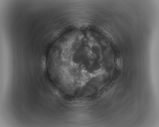 X0000111820963200908061132