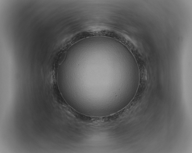 X0000111820965200908061132