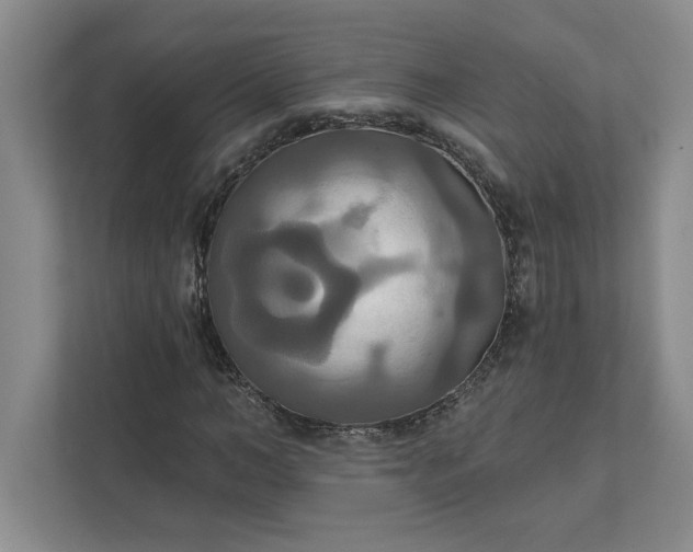 X0000111820966200908061132