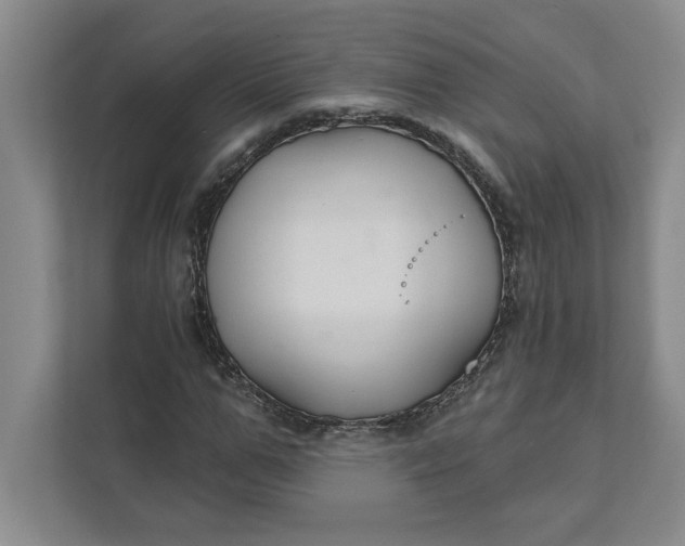 X0000111820967200908061132