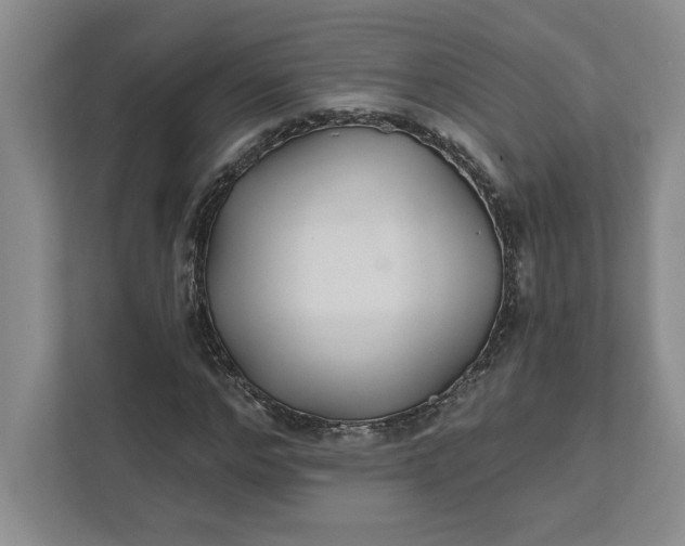 X0000111820968200908061132