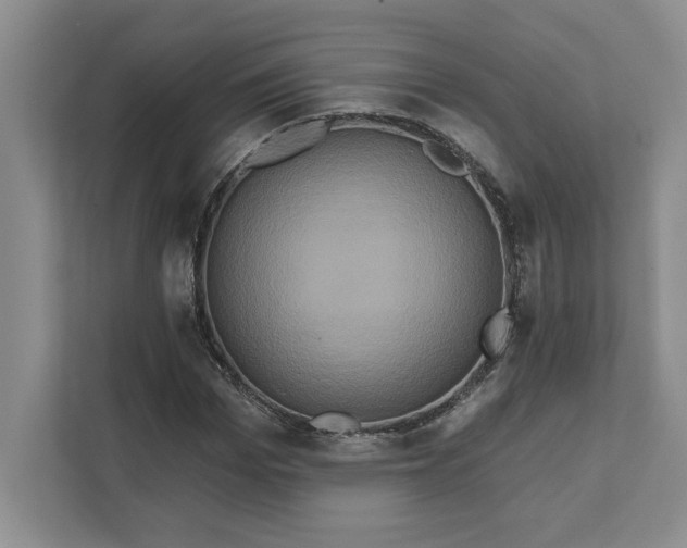 X0000111820969200908061132