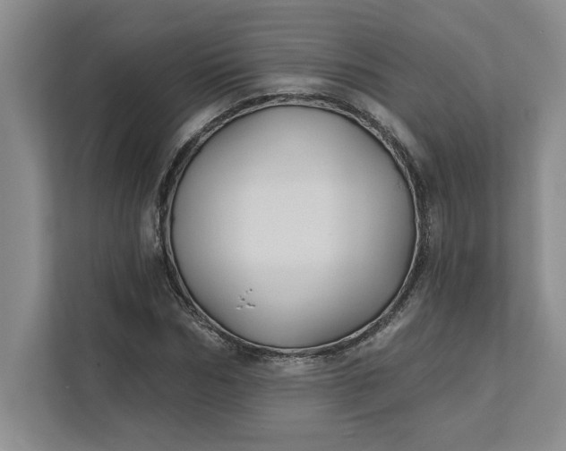 X0000111820970200908061132