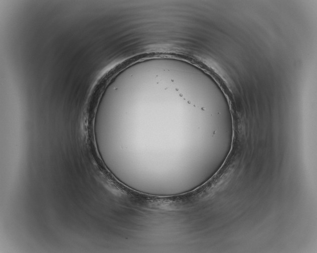 X0000111820971200908061132