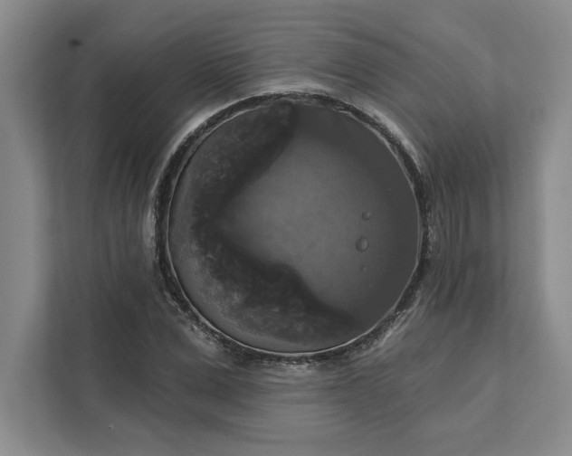 X0000111820975200908061132