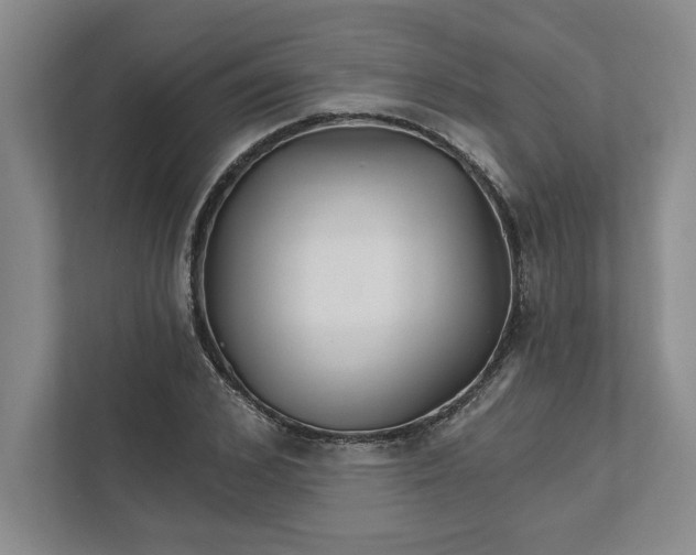 X0000111820976200908061132