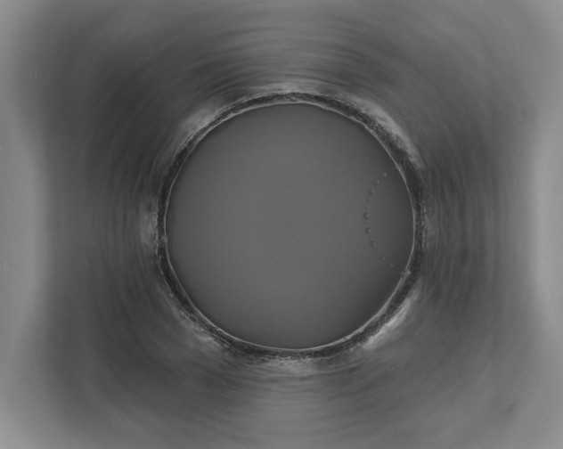 X0000111820977200908061132