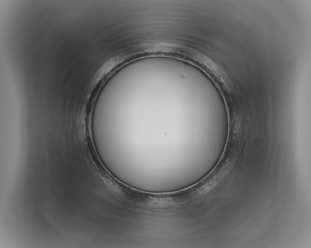 X0000111820978200908061132