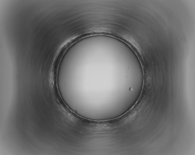 X0000111820979200908061132