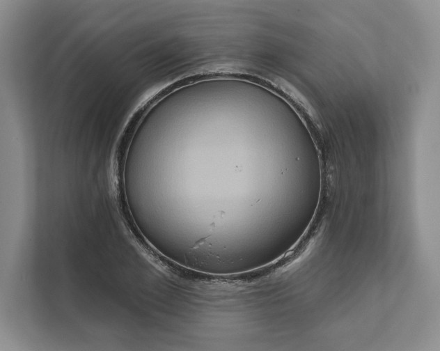 X0000111820981200908061132