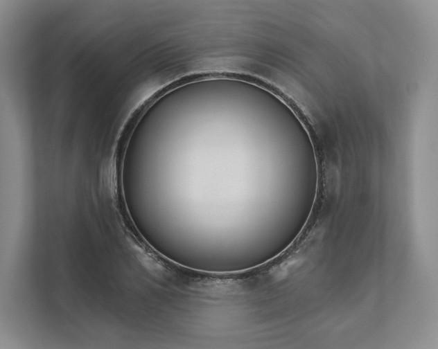 X0000111820982200908061132