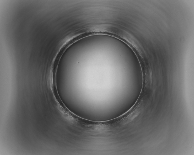 X0000111820984200908061132