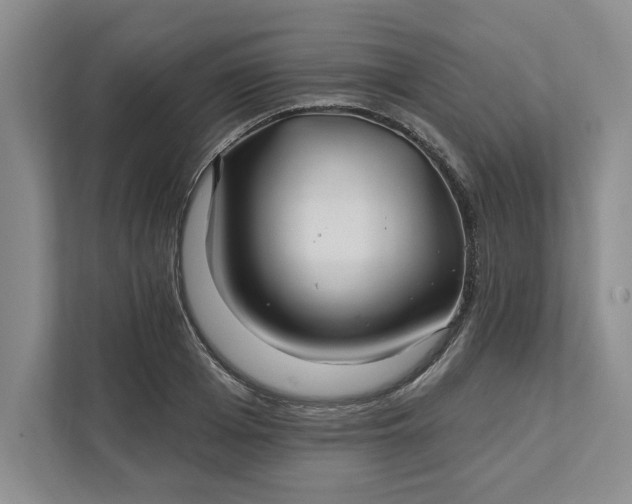 X0000111820985200908061132