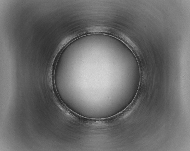 X0000111820986200908061132