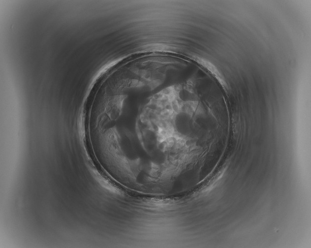 X0000111820987200908061132