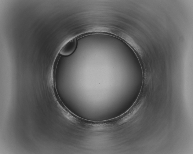 X0000111820988200908061132