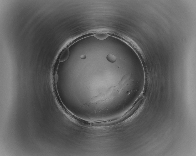 X0000111820989200908061132