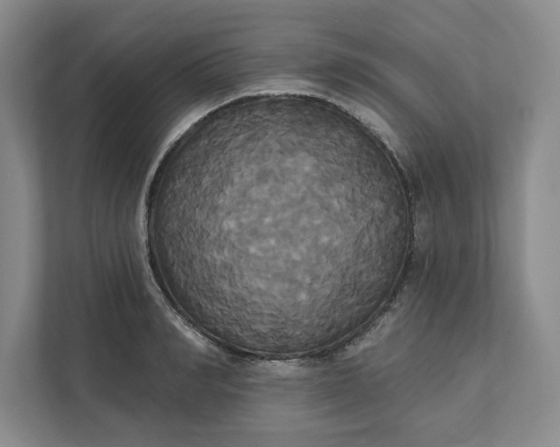 X0000111820990200908061132