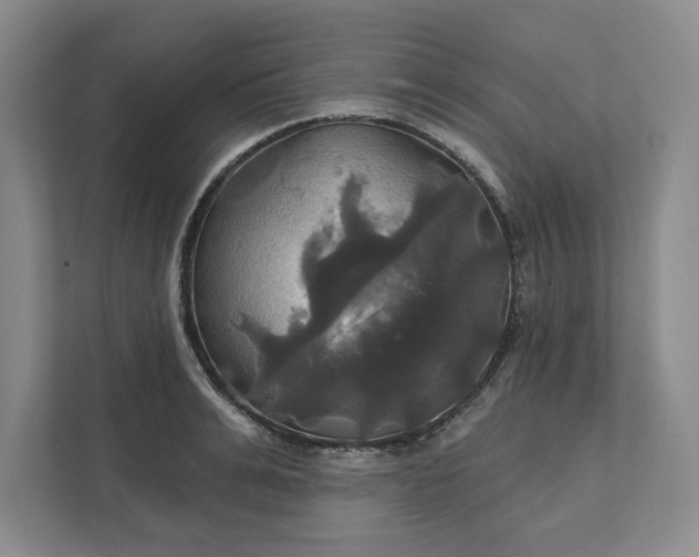 X0000111820991200908061132