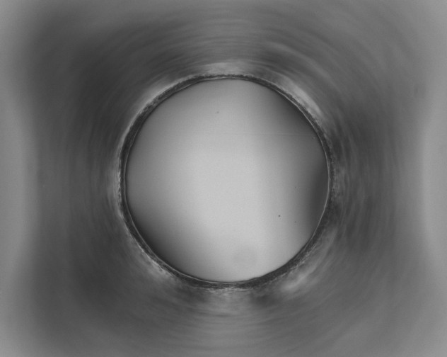 X0000111820992200908061132