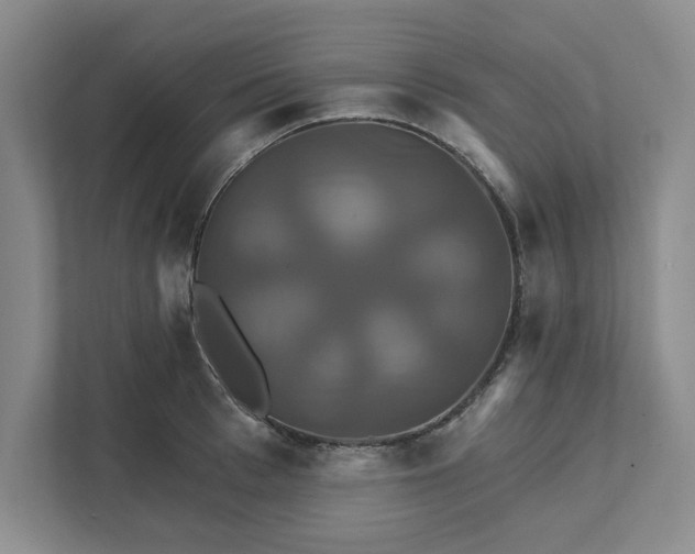 X0000111820993200908061132