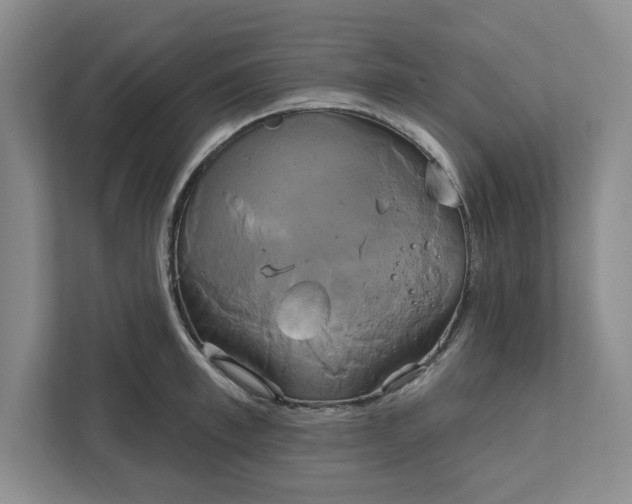 X0000111820997200908061132