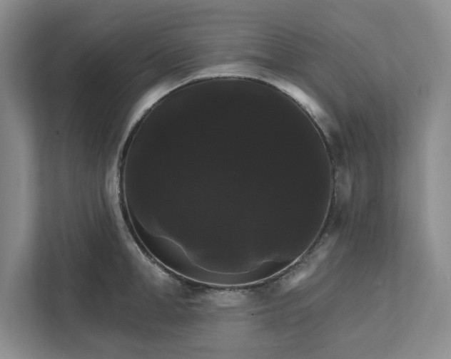 X0000111820998200908061132