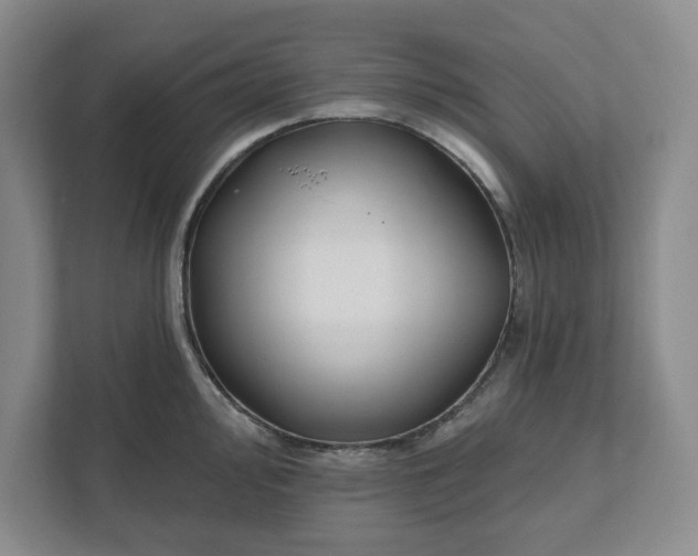 X0000111821000200908061132