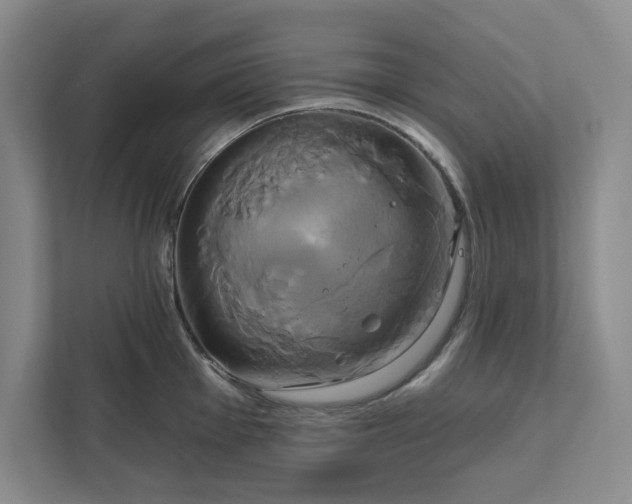 X0000111821001200908061132