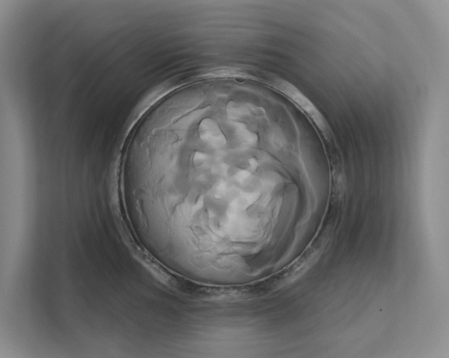 X0000111821002200908061132