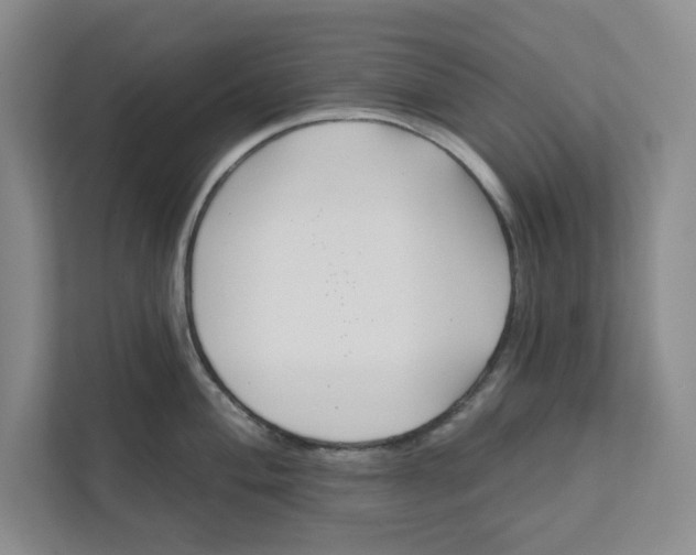 X0000111821004200908061132