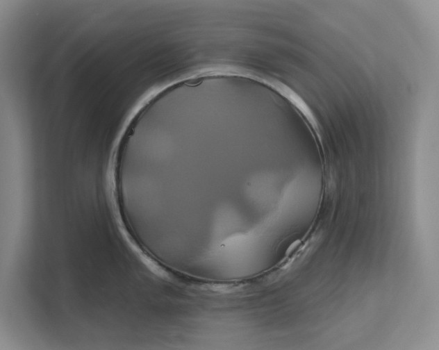 X0000111821005200908061132