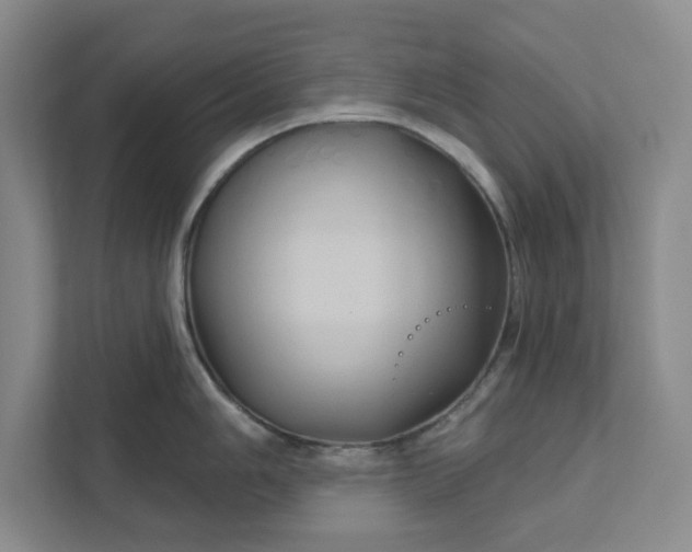 X0000111821006200908061132