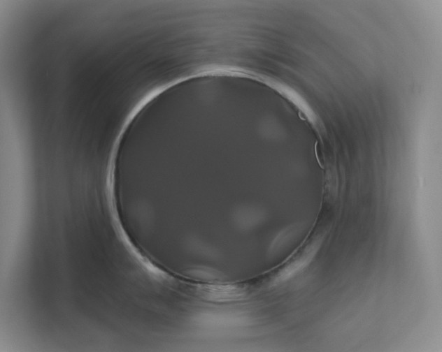 X0000111821007200908061132