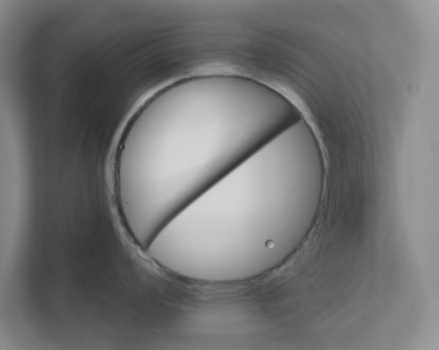 X0000111821008200908061132