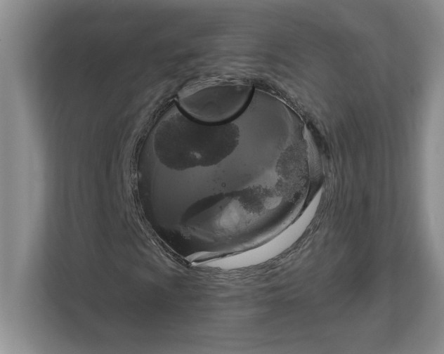 X0000111821009200908061131