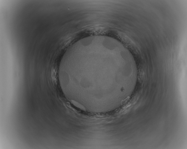 X0000111821010200908061131