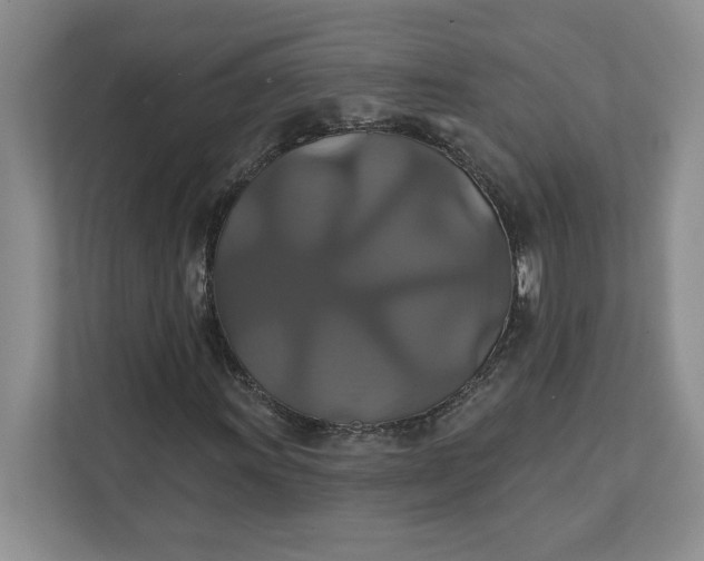 X0000111821011200908061131