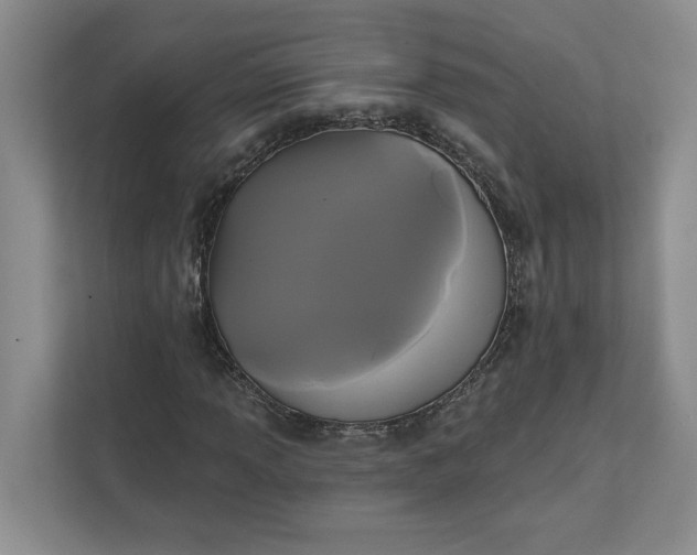 X0000111821013200908061131